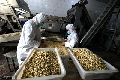临沂:食品企业工人深加工花生 提高农产品附加值